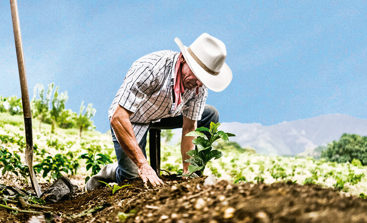 Pequeños productores: alma y nervio de Nicaragua