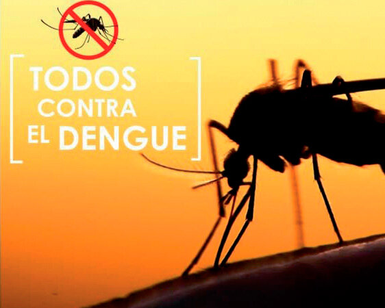 Dengue_Afiche
