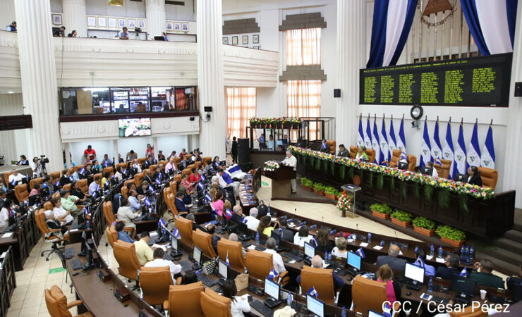 Opinion_AsambleaNacional