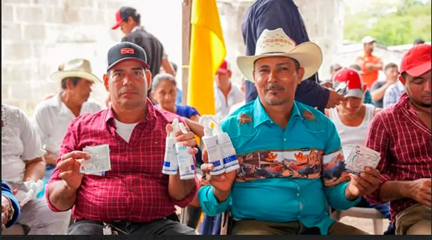 Efectivas acciones sanitarias y tecnológicas en sector pecuario