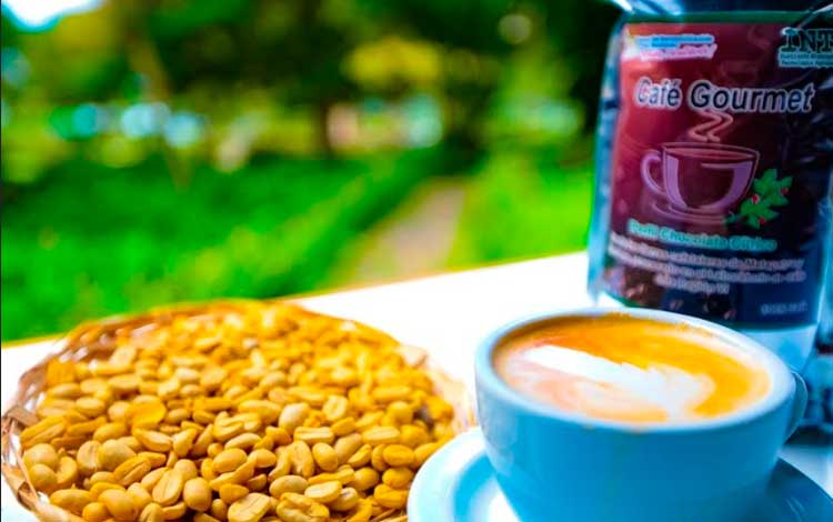 GRUN fortalece prestigio y posicionamiento del café nicaragüense