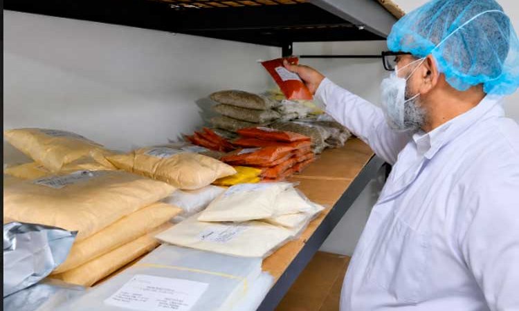 Nicaragua referente sanitario regional