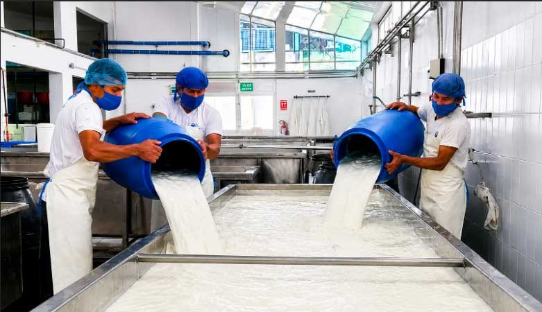 Nicaragua produce millones de galones de leche