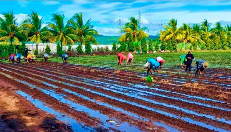 GRUN comprometido con la producción de alimentos