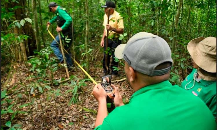 GRUN continúa evaluando el estado de los bosques