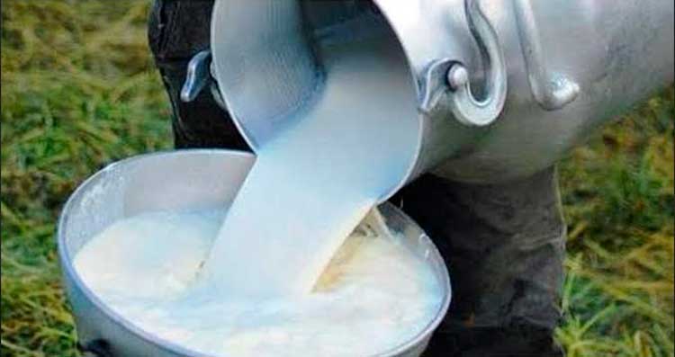 Dinamismo y crecimiento de producción lechera