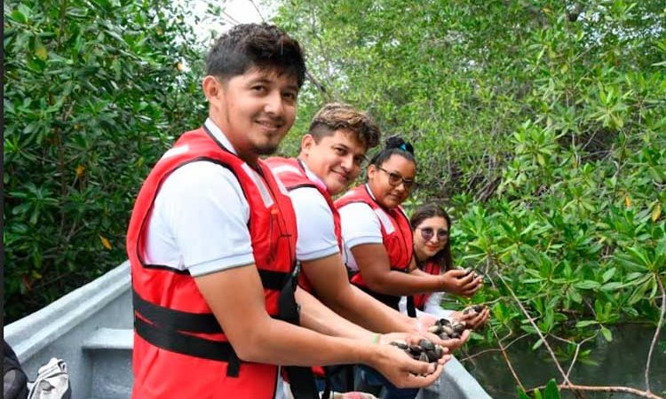 Con iniciativas ambientales gobierno promueve protección de bosques