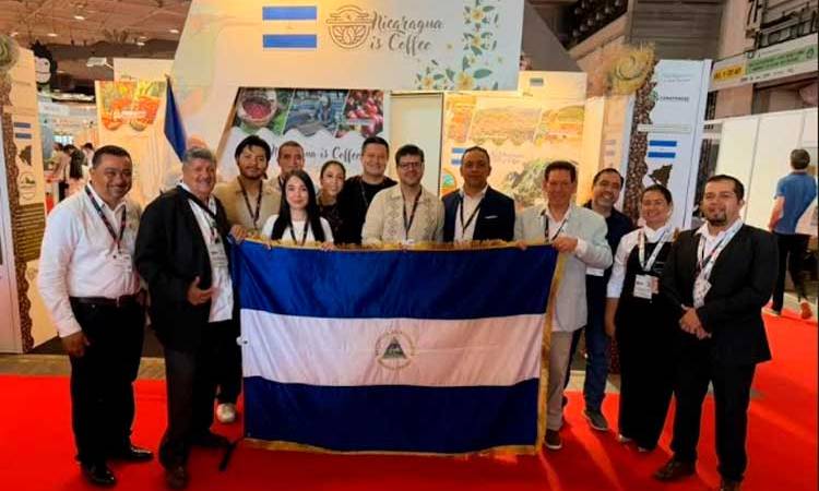 Café nica reafirma creciente reconocimiento internacional