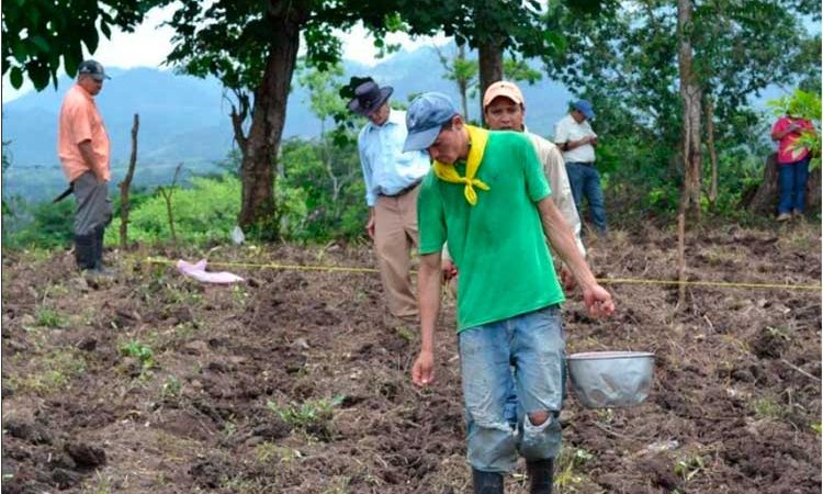Miles de productores esperan siembra de primera