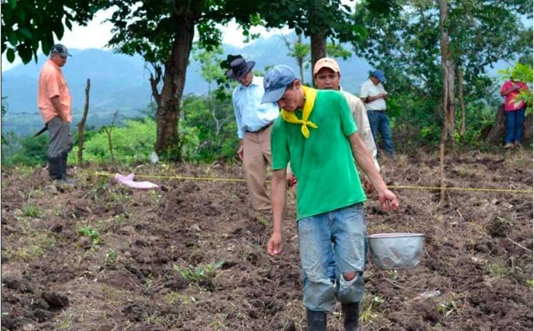 Miles de productores esperan siembra de primera