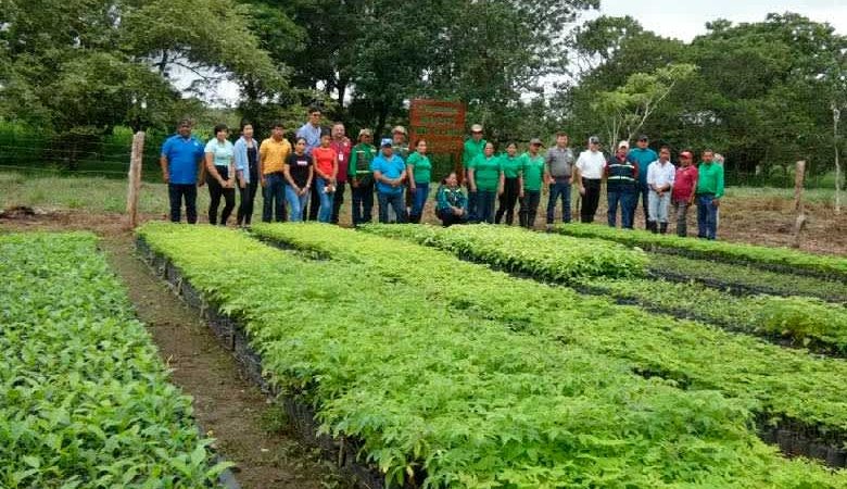 Gobierno inaugura dos viveros forestales en Boaco y Río San Juan