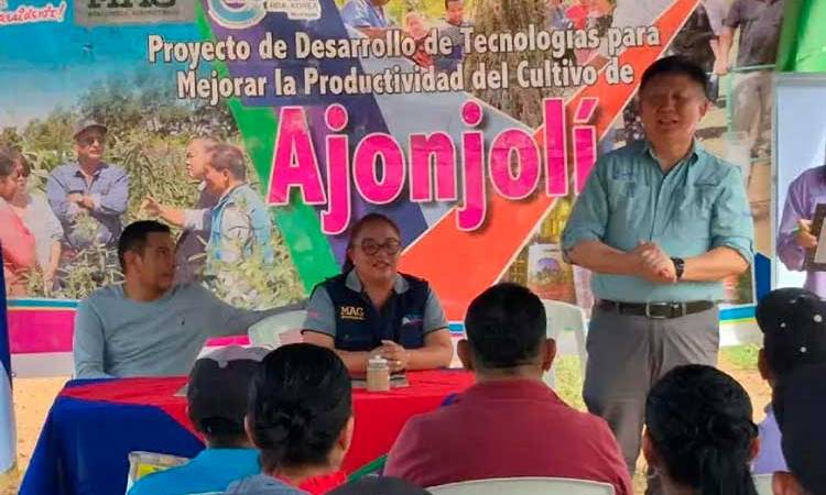 MAG promueve tecnologías para siembra y cultivo de ajonjolí