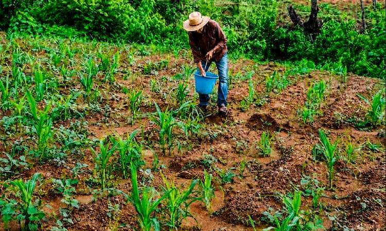 MAG brinda informe de gestión al pueblo nicaragüense