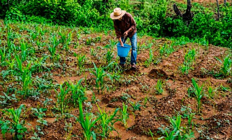 MAG brinda informe de gestión al pueblo nicaragüense