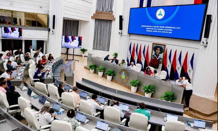 Parlamento destaca declaración de la juventud como Patrimonio Nacional