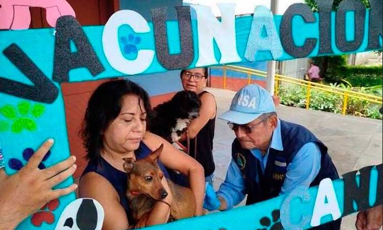 Minsa emprenderá Campaña de Vacunación Antirrábica Canina