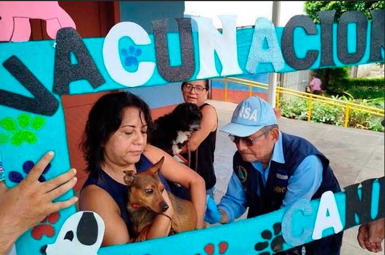 Minsa emprenderá Campaña de Vacunación Antirrábica Canina