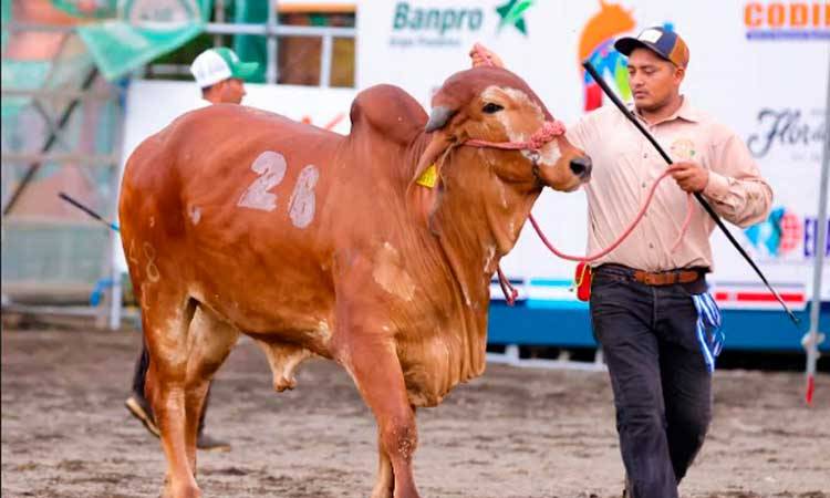 Más de US$ 50 millones en ventas en Feria Ganadera Internacional