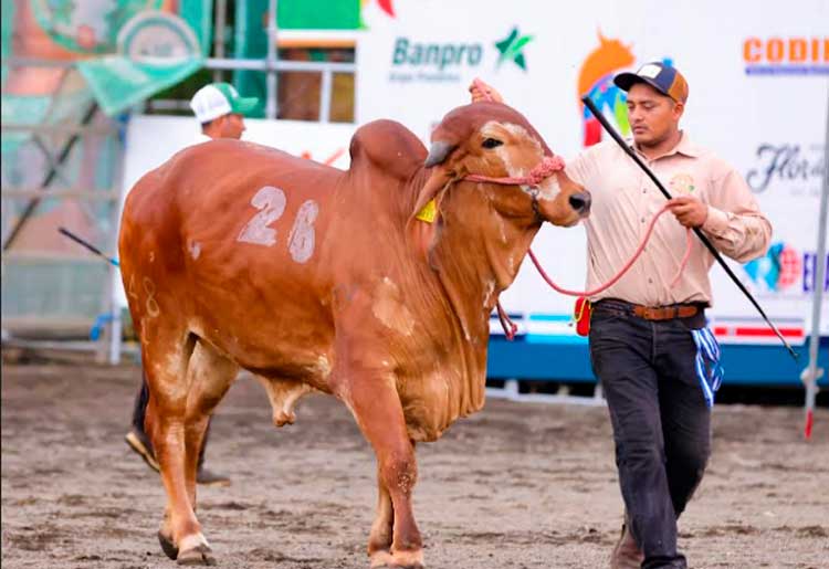 Más de US$ 50 millones en ventas en Feria Ganadera Internacional