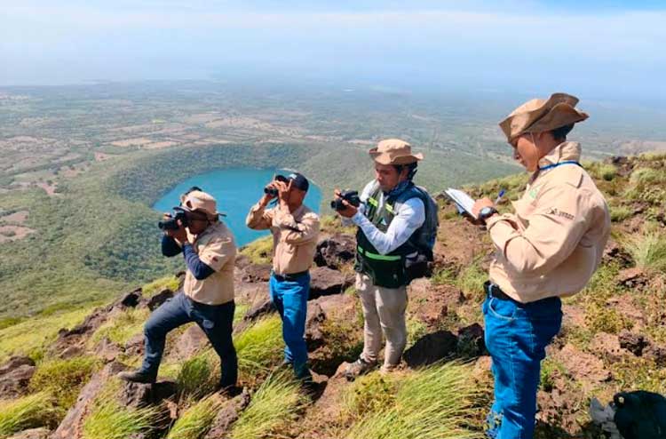 Exhaustivo monitoreo de la biodiversidad del Complejo Volcánico Cerro Negro