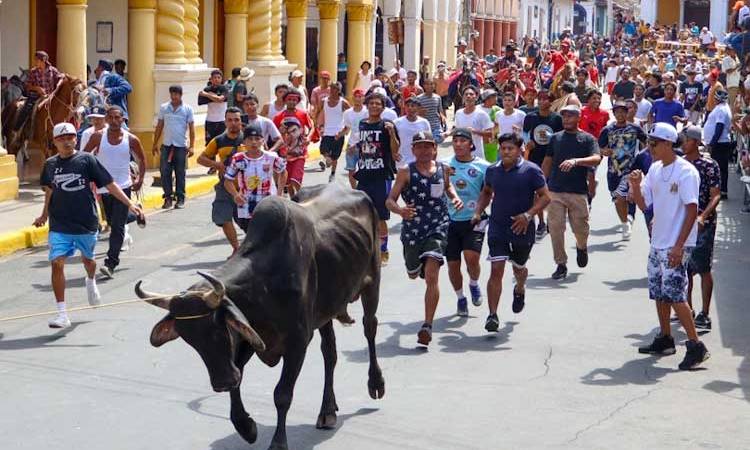 Tradicional Tope de Toros en honor Virgen de la Asunción en Granada
